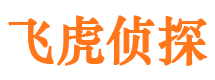 新城市侦探公司